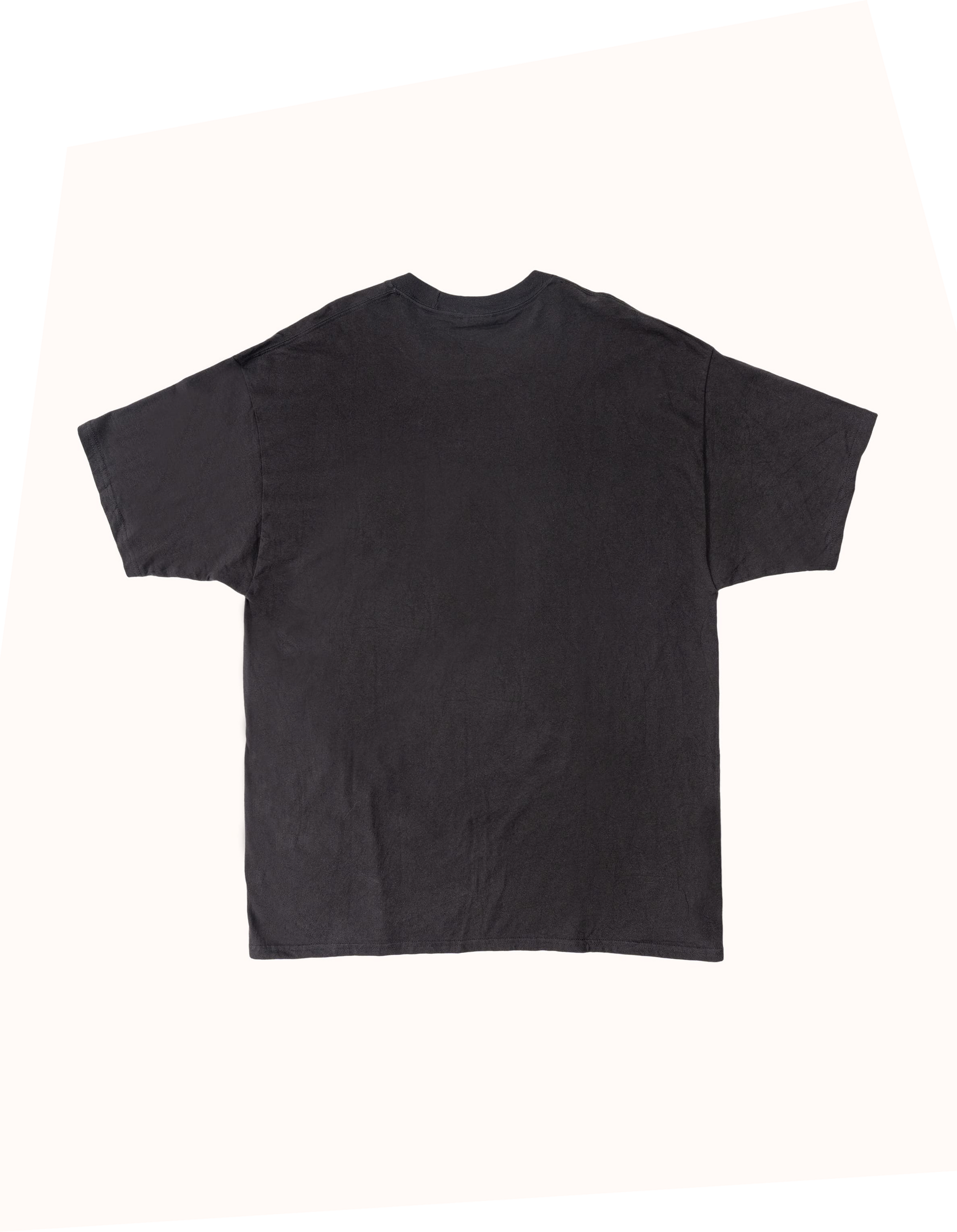 T-shirt Harley Davidson